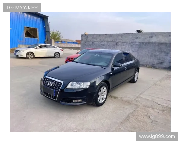 08年的奥迪A6,五年修车花了5万多,2万被修理厂黑掉,还是老熟客