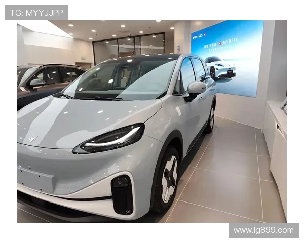 10万级纯电SUV新宠——极狐考拉S，真的香！