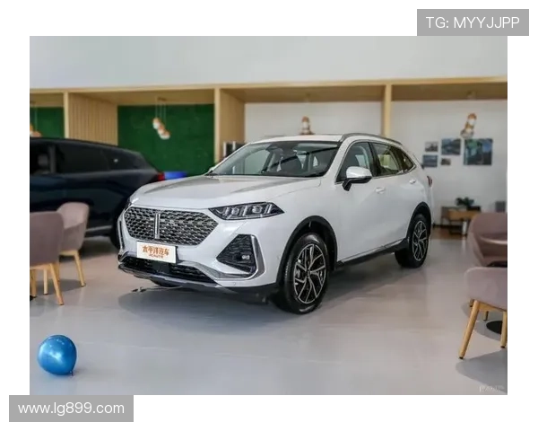 10台灵活的大空间全新SUV年内到！长城占三席，赶紧攒钱～