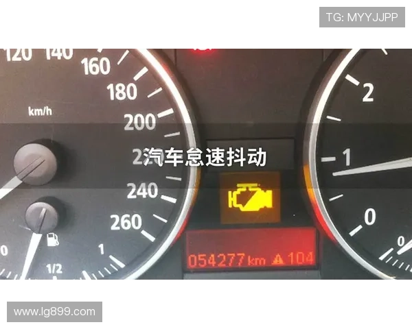 11年现代305怠速试车视频，怠速支车劲头不大，其他超棒1