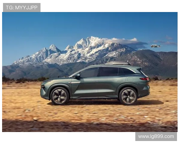 11月卖得最好的15款SUV：日系集体消失？比亚迪一骑绝尘